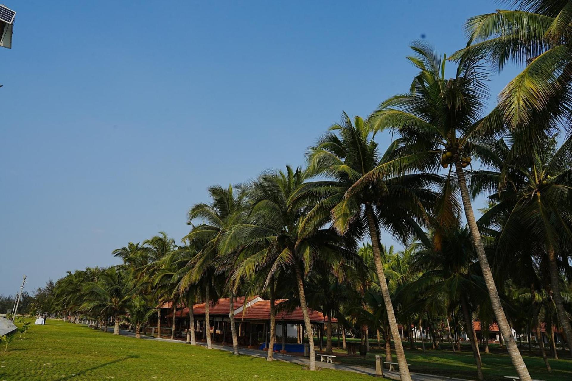 Dat Lanh Beach Resort La Gi Eksteriør bilde