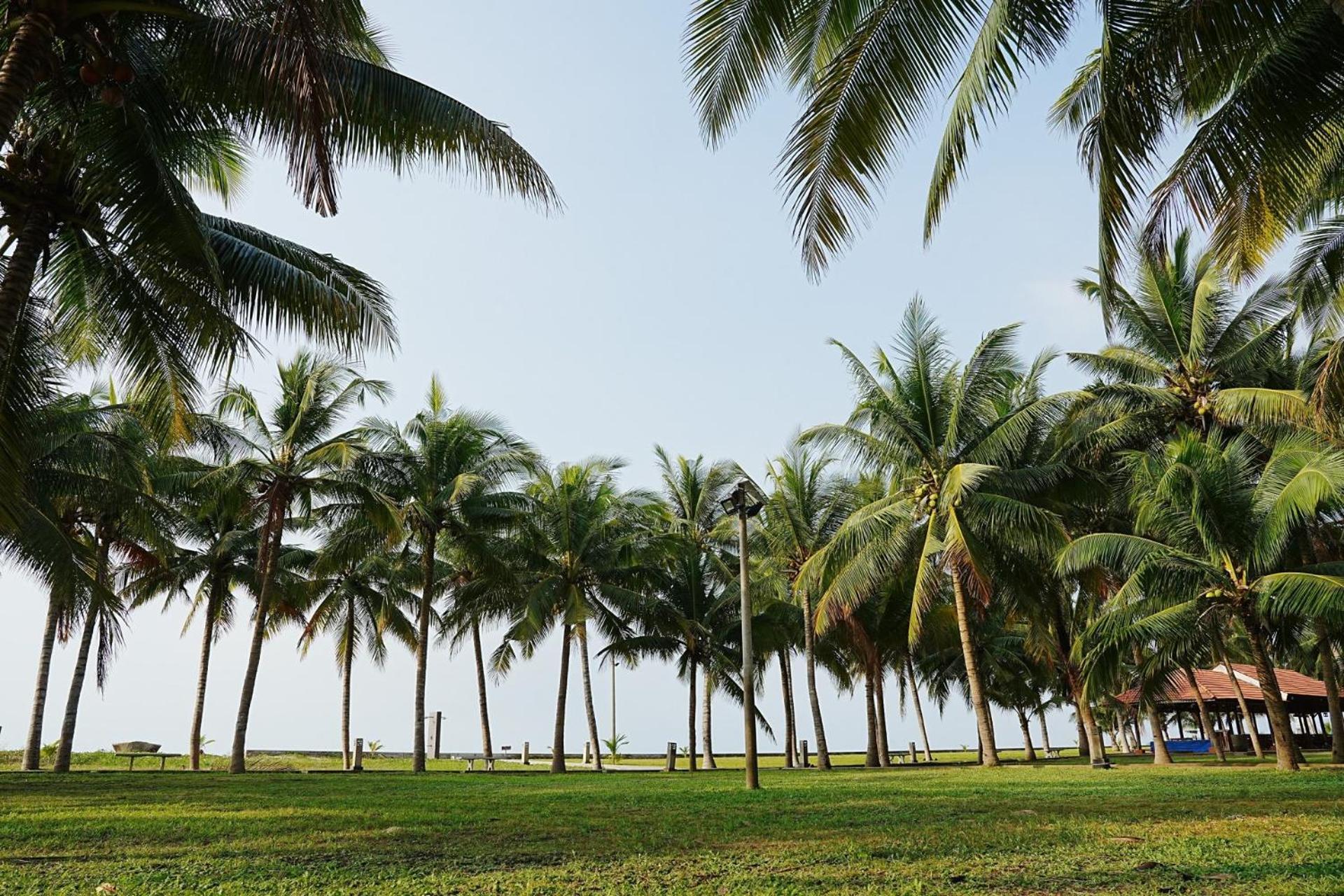 Dat Lanh Beach Resort La Gi Eksteriør bilde